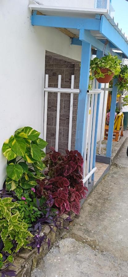 Posada Aleeny Providencia  Εξωτερικό φωτογραφία